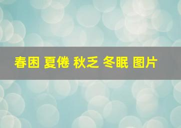 春困 夏倦 秋乏 冬眠 图片